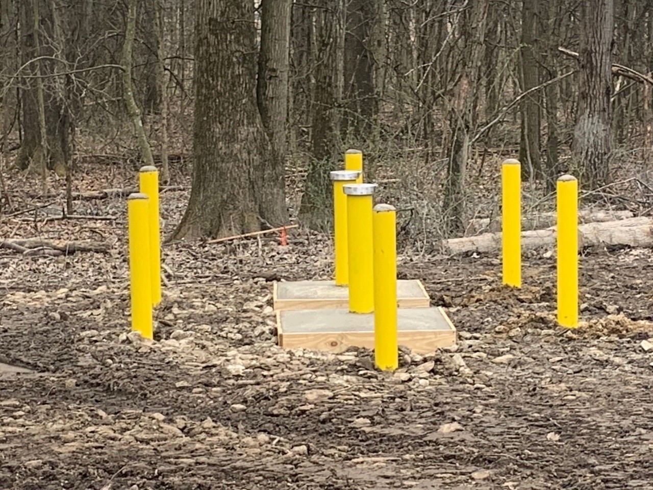 A nested set of monitoring wells near Criggys Pond west of Butts-Kistler Road